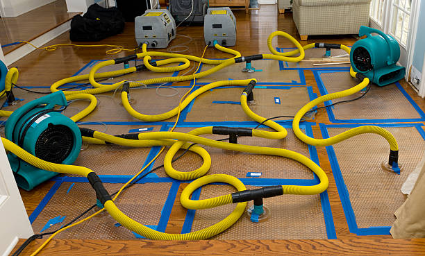Professional Basement Flood Cleanup technician working in Sunbright, TN